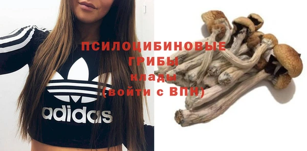альфа пвп Михайловск