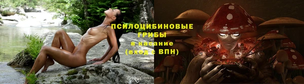 МДПВ Михайлов