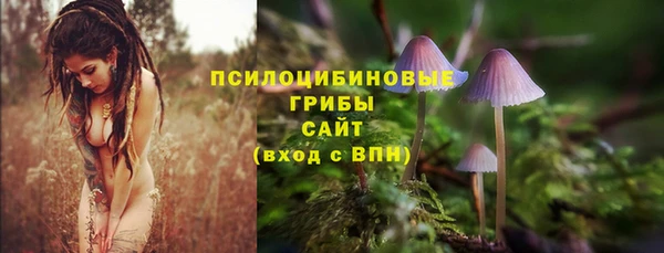 винт Надым