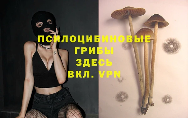 винт Надым