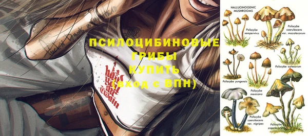 дмт Михайловка