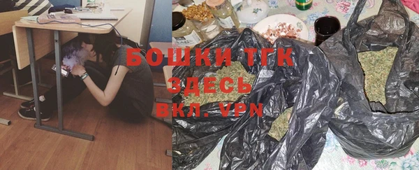 МДПВ Михайлов