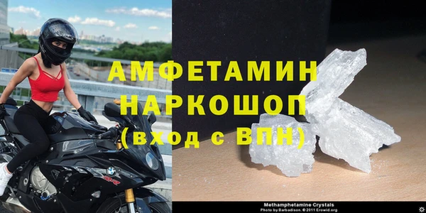 прущие грибы Навашино