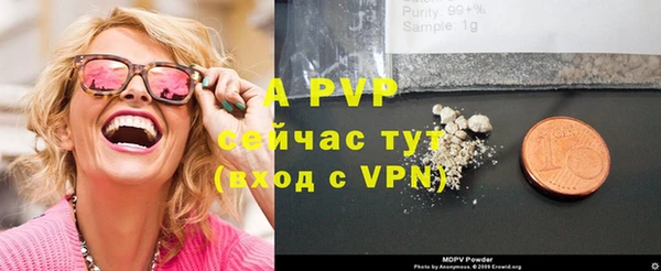 прущие грибы Навашино