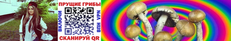 Псилоцибиновые грибы мухоморы  OMG зеркало  Нововоронеж 