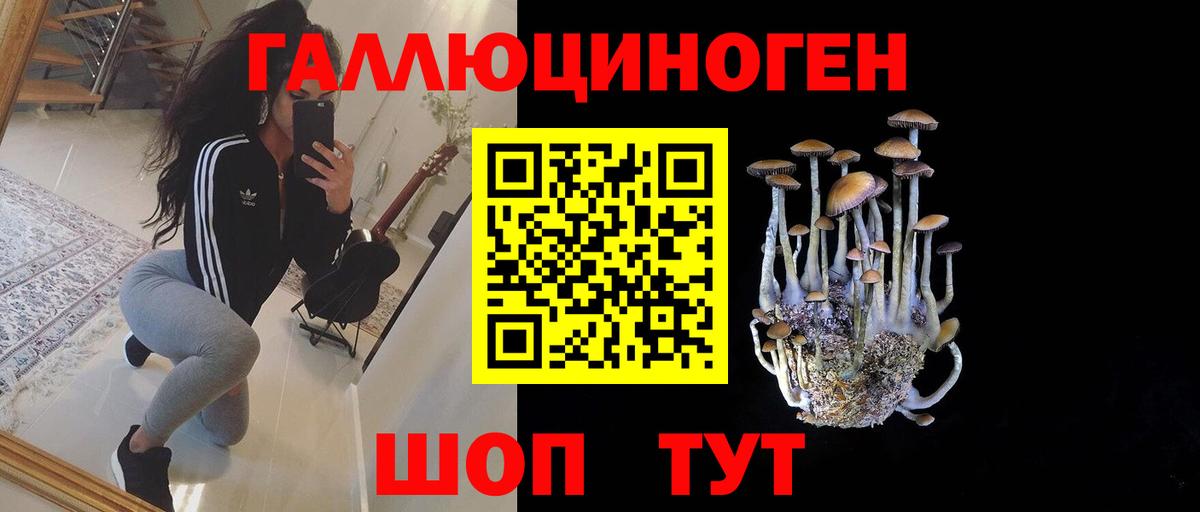 Псилоцибиновые грибы Magic Shrooms  Вход с VPN  где купить   Нововоронеж 